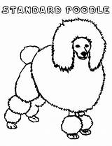 Poodle Coloring Pages Printable Toy Pink Drawn Size Standard Getcolorings Drawing Library Clipart Getdrawings Color Print sketch template