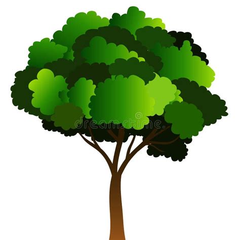 tree element stock vector illustration  branch isolated