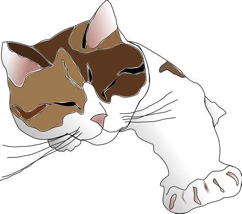 clipart cat calico clipart cat calico transparent