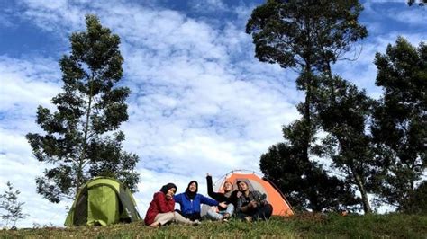 serunya camping di gunung merbabu via selo