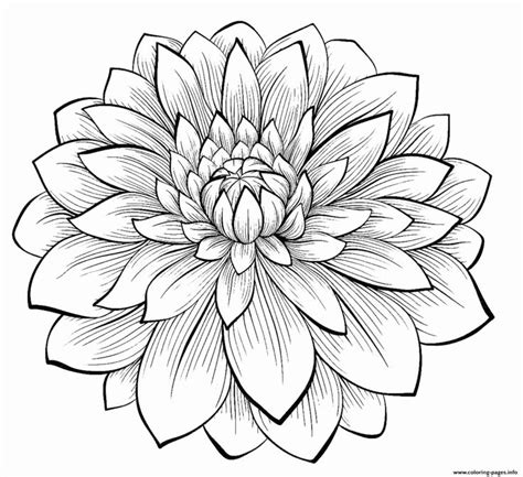 preschool coloring pages spring    images flower coloring