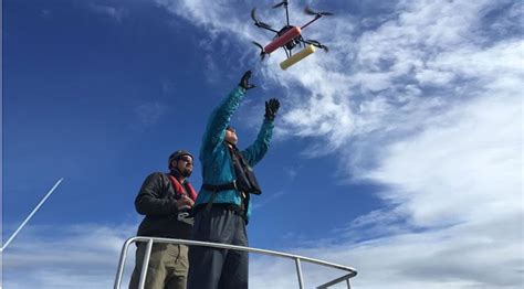 noaa  drones  capture killer whales  film dronelife