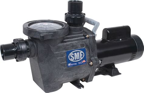 waterway smf  pool pump