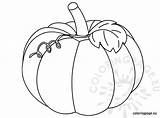 Pumpkin Coloring Pages Printable Leaves Squash Color Print Drawing Outline Line Vine Pumpkins Fall Patch Leaf Coloringpage Blank Christian Halloween sketch template