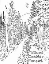 Forest Nature Coloring Pages Printable Kb 2010 Drawings sketch template