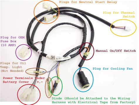 suzuki king quad wiring diagram stnicholasipswich