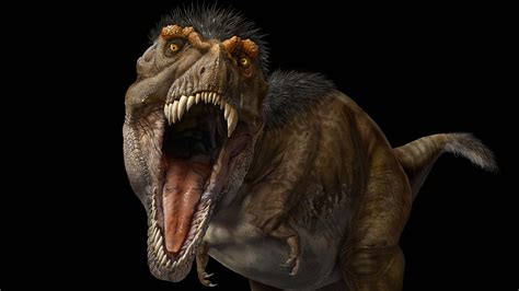 rex  ultimate predator royal ontario museum