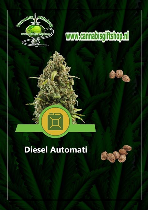 diesel automatic cannabis giftshop