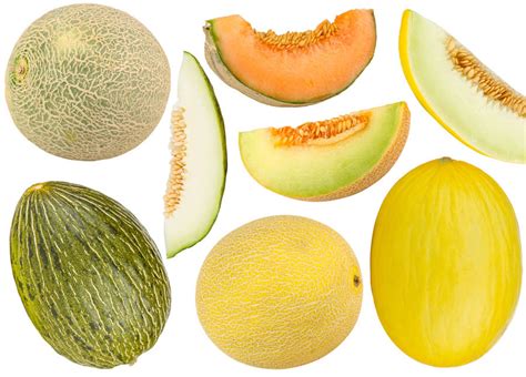 melon varieties  quick guide