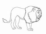 Pages Coloring Lion Animals Index sketch template