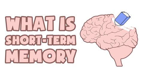 short term memory explained   min youtube