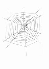 Spinnennetz Spinnenweb Malvorlage Ragno Kleurplaat Ausmalbilder Ausmalbild Schulbilder sketch template