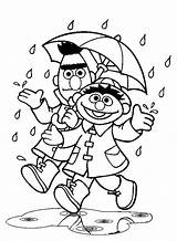 Coloring Rain Pages Ernie Bert Weather Sesame Rainy Umbrella Street Away Go Under Windy Printable Kids Color Getcolorings Falling Sheet sketch template