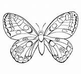 Bestcoloringpagesforkids Insect sketch template