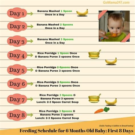 months  baby food chart