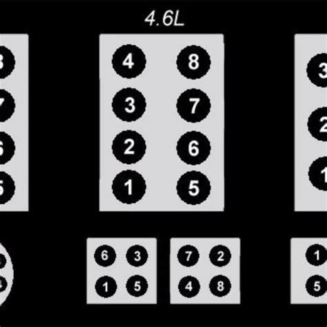 ford expedition  firing order wiring  printable