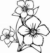Flower Coloring Drawings Pages Flowers Choose Board Drawing sketch template
