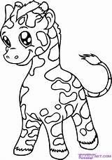 Giraffe Baby Coloring Pages Cute Animals Drawing Drawings Line Giraffes Kids sketch template