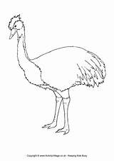 Colouring Emu Australian Pages Animals Coloring Drawing Animal Printable Drawings Print Getdrawings Color Getcolorings Word Designlooter 650px 39kb sketch template