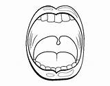 Throat Coloring Tongue Coloringcrew Pages Human Body sketch template