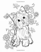 Coloring Para Colorear Pages Perro Dog Amazon Schnauzer Adulto Elsharouni Cindy Yorkshire Yorkie Colouring Adult Terrier Pencil Printable Målarbilder Målarböcker sketch template
