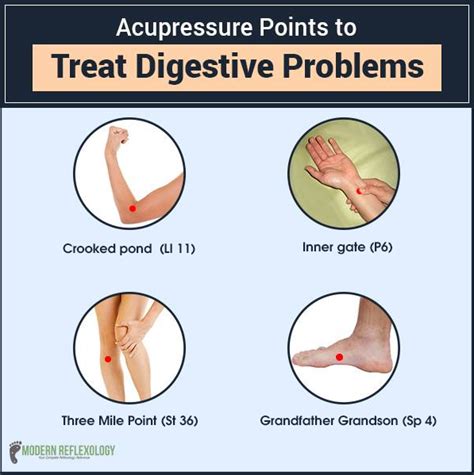Acupressure Points To Treat Digestive Problems – Artofit