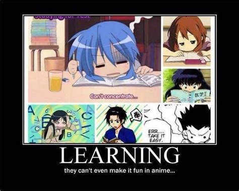 Funny Anime Memes 8 Anime Amino