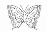 Butterfly Coloring Pages Morpho Blue Color Printable Sheets Getcolorings sketch template
