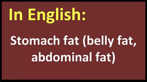 Stomach Fat Belly Fat Abdominal Fat Spanish Meaning Youtube