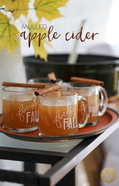 Hot Apple Cider Mulled Apple Cider Easy And Delcious
