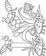 Coloring Pages Insect Bug Kids Preschool Printable Bugs Cute Insects Letter Garden Color Bestcoloringpages Drawing Birds Getdrawings Parts Body Spring sketch template