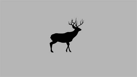 deer silhouette youtube