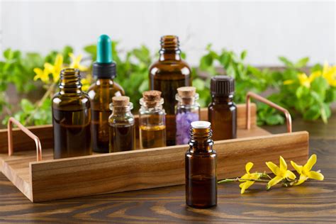 find  hire   aromatherapy expert smartguy