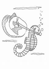 Coloring Seahorse Printable Kids Pages Fan Fairy Clipart Electric Fish Library Adults Sketch Coloringbay sketch template