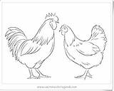 Coloring Chicken Flapping Wings Printable Pages sketch template