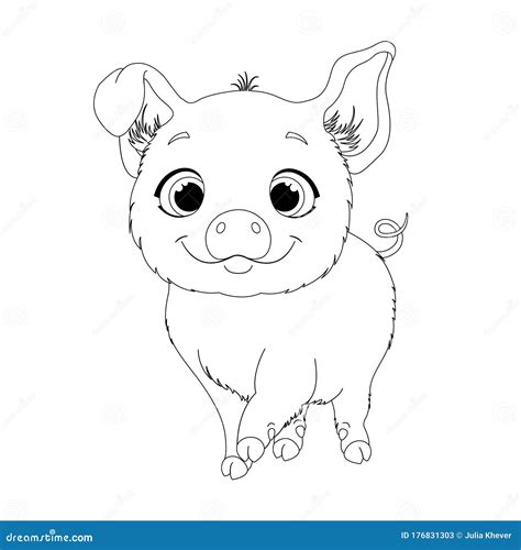 coloring page  kids   pig stock vector illustration