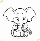 Coloring Elephant Baby sketch template