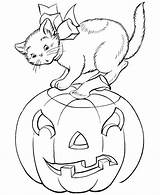 Cat Coloring Pages Cute Printable Print sketch template