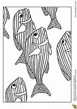Poissons Poisson Rayes Multicolores Hugolescargot Visiter sketch template