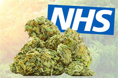 cannabis uk medicinal weed legal on nhs prescription from today daily star