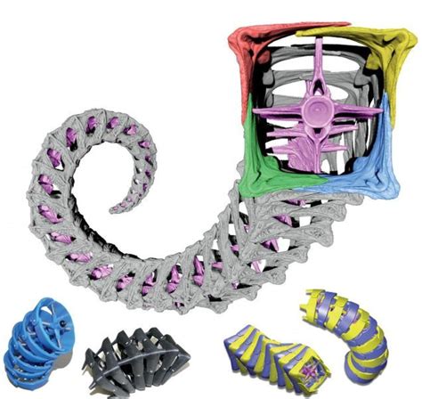 seahorse  teach    build  robots techno animal tails robot arm