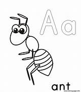 Ant Coloring Pages Kids Printable Alphabet Color Print Template Drawing Ants Cartoon Preschool Getdrawings Anthill Clipartmag Queen Coloringbay Apple Book sketch template