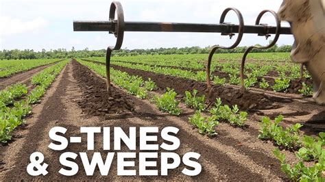 tines sweeps  minute overview youtube