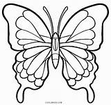Butterfly Dull sketch template