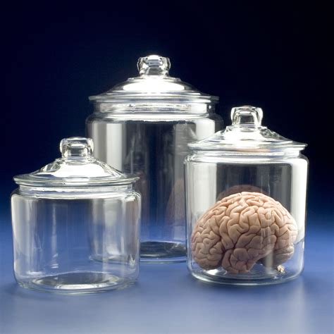 glass specimen jars  glass lid brain research laboratories
