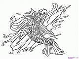 Coloring Koi Pages Fish Popular sketch template