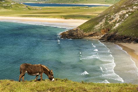 dit zijn de mooiste natuurgebieden van ierland