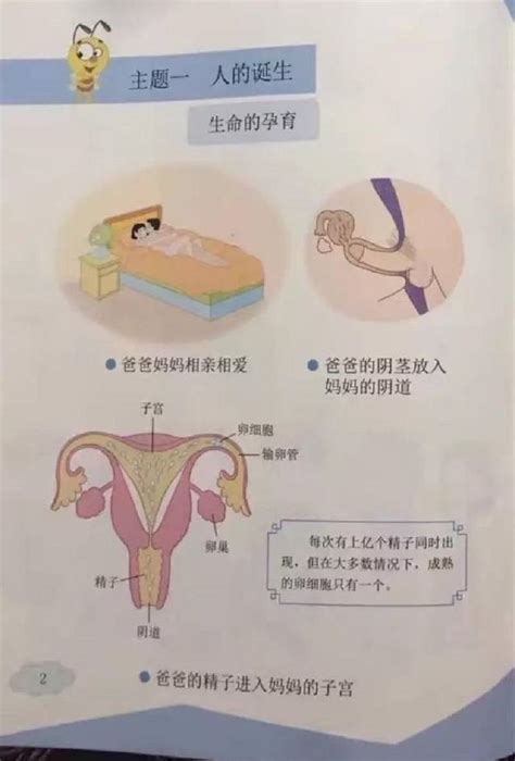 china has just introduced these controversial sex ed textbooks to 2nd graders koreaboo