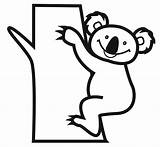 Koala Coloring Kids Pages Bear Printable Animal sketch template