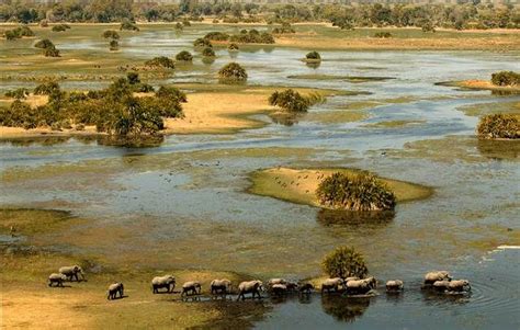 Is Botswana Overpriced Southern And East African Tourism Update